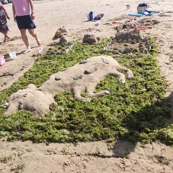 Concours Château de Sable